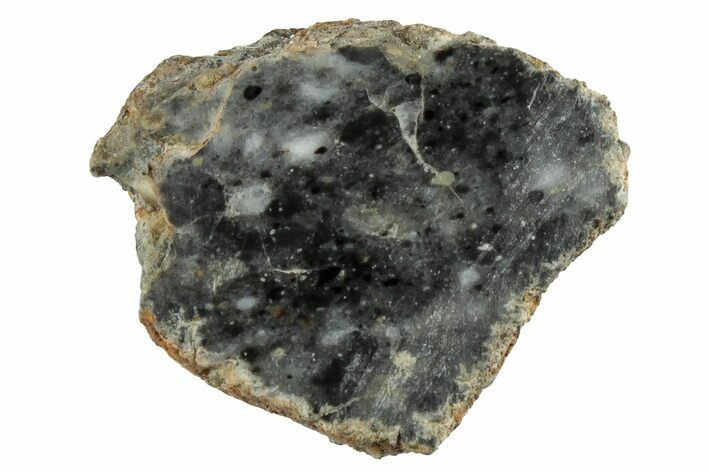 Lunar Meteorite Section ( g) - Bechar #280812